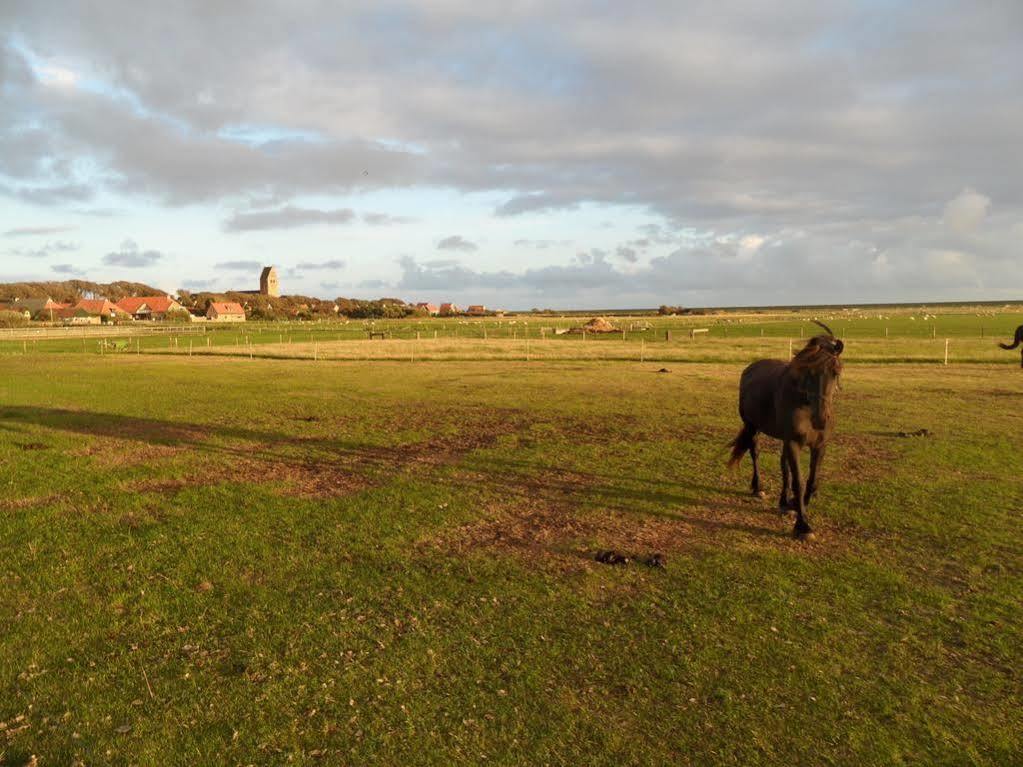 The Sunset Apartments Hollum (Ameland) Exterior foto